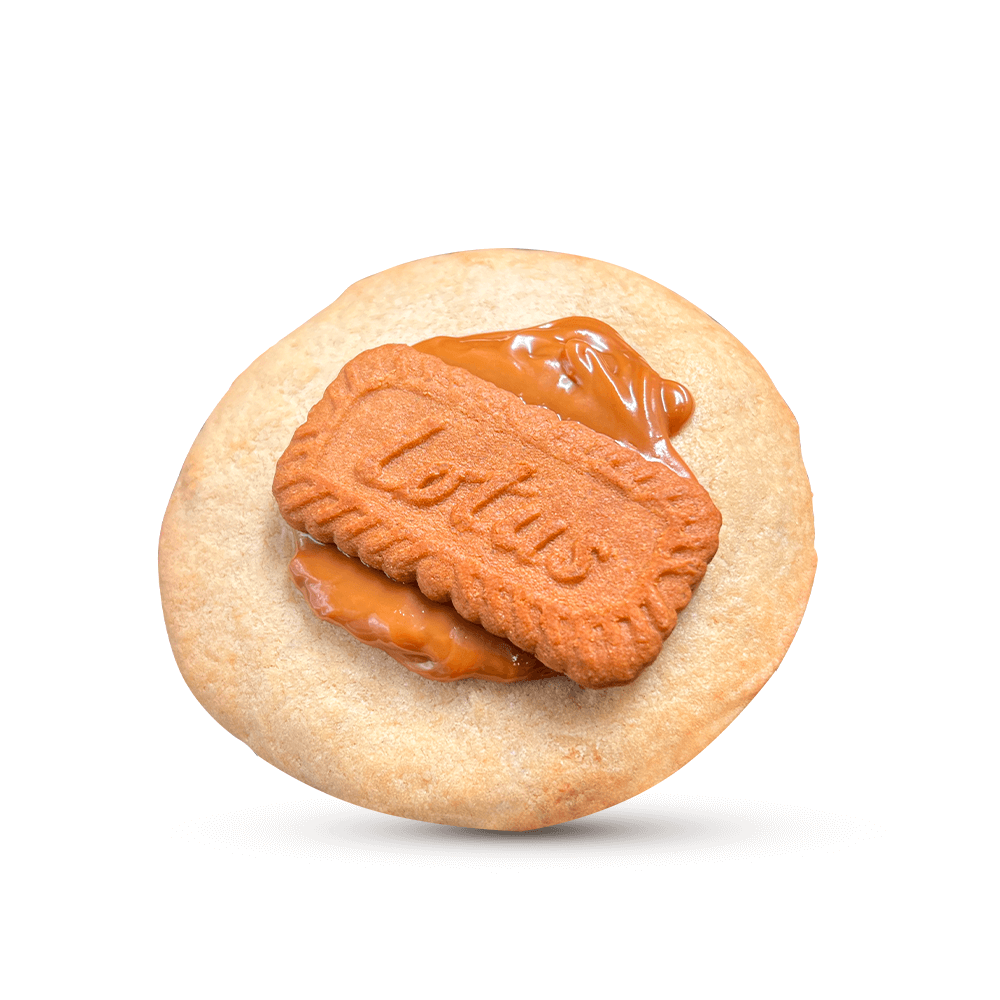 12er Biscoff Mega Box